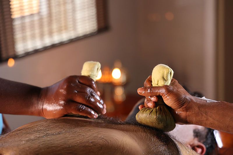 ArogyaM wellness center and Sacred Grove