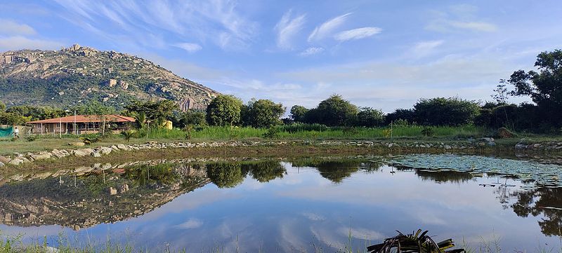 ArogyaM wellness center at Sacred Grove