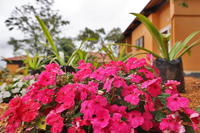 ArogyaM wellness center at Sacred Grove